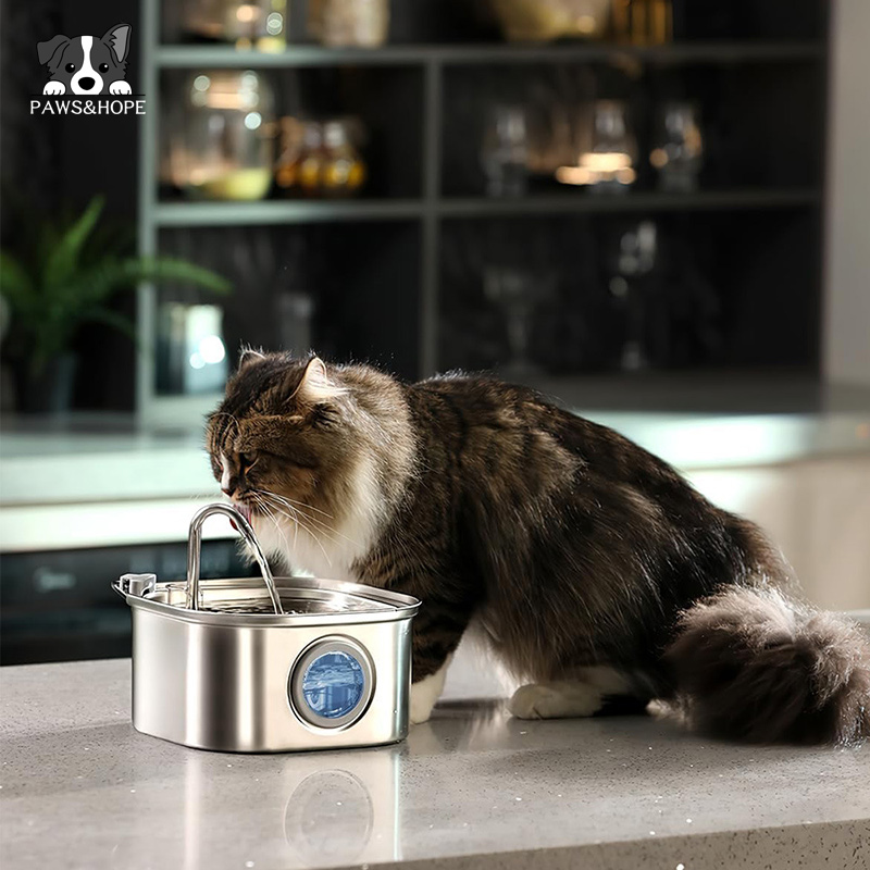 Pet Drinking Fountain Water